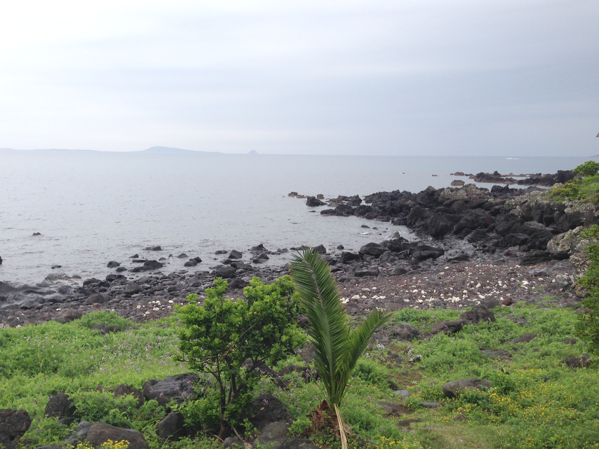 黒い溶岩と青い海が続く鐙瀬熔岩海岸